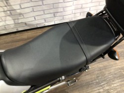 �z���_�O�����i���Q�����R�s�j�摜16