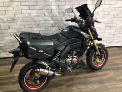 �J���T�LZ125 PRO�i���Q�����R�s�j�摜5