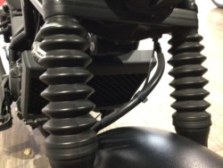 �z���_���u��250�i���Q�����R�s�j�摜35