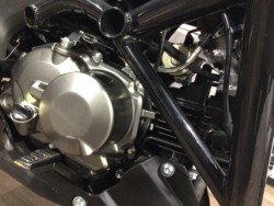 �J���T�LZ125 PRO�i���Q�����R�s�j�摜4