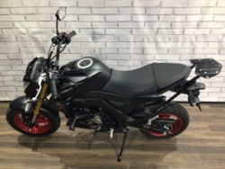 �J���T�LZ125 PRO�i���Q�����R�s�j�摜8