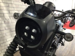 �z���_���u��250�i���Q�����R�s�j�摜18