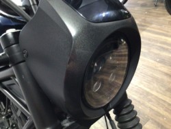 �z���_���u��250�i���Q�����R�s�j�摜20