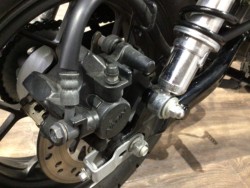 �z���_�����L�[125�i���Q�����R�s�j�摜25