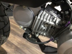 �z���_�����L�[125�i���Q�����R�s�j�摜29