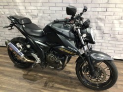 �X�Y�L&nbsp;�W�N�T�[250 
