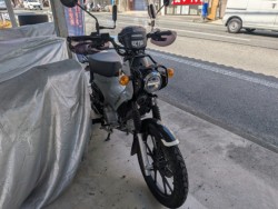 �z���_�N���X�J�u110�i���Q�����R�s�j�摜4