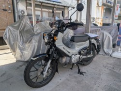 �z���_�N���X�J�u110�i���Q�����R�s�j�摜2