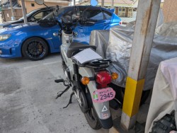 �z���_�N���X�J�u110�i���Q�����R�s�j�摜5
