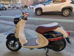 ���}�n�r�[�m�i���Q�����R�s�j�摜5