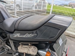 �X�Y�L�o���f�B�b�g250�i���쌧�����s�j�摜26