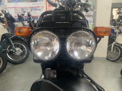 �z���_�Y�[�}�[�i���������]�s�j�摜5