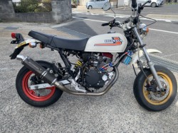 GCv100