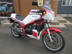 }n RZ250R 