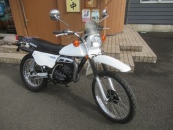 XYLTS185ERio_sj摜1