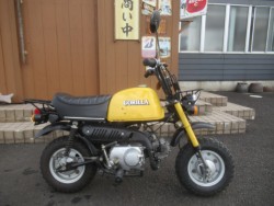 �z���_�S�����i�������o�_�s�j�摜2