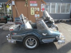 �z���_GL1500�S�[���h�E�B���O�i�������o�_�s�j�摜2