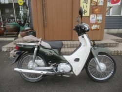 �z���_�X�[�p�[�J�u50�iAA04�j�i�������o�_�s�j�摜2