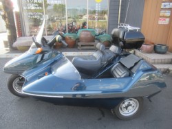 �z���_�t���[�W�����i�������o�_�s�j�摜2