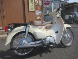 �z���_�X�[�p�[�J�u50�i�������o�_�s�j�摜3