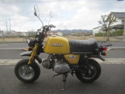 �z���_�S�����i�������o�_�s�j�摜4