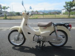 �z���_�X�[�p�[�J�u50�i�������o�_�s�j�摜4