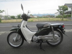 �z���_�X�[�p�[�J�u50�iAA04�j�i�������o�_�s�j�摜4