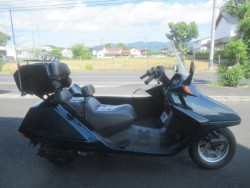�z���_�t���[�W�����i�������o�_�s�j�摜4