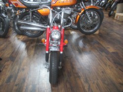 �z���_�����L�[�i�������o�_�s�j�摜5