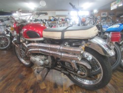 �J���T�LA1SS�i�������o�_�s�j�摜3