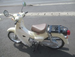�z���_�X�[�p�[�J�u50�i�������o�_�s�j�摜5