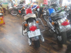 �J���T�LW1�i�������o�_�s�j�摜5