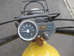 �z���_�S�����i�������o�_�s�j�摜6