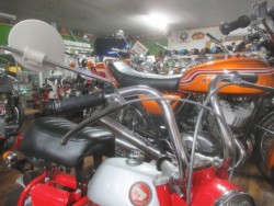 �z���_�����L�[�i�������o�_�s�j�摜7