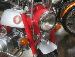 �z���_�����L�[�i�������o�_�s�j�摜8