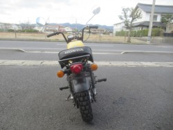 �z���_�S�����i�������o�_�s�j�摜8