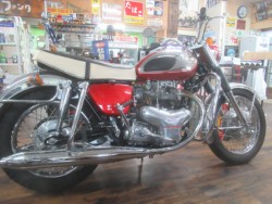 �J���T�LW1�i�������o�_�s�j�摜8