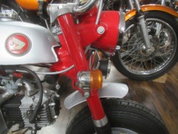 �z���_�����L�[�i�������o�_�s�j�摜9