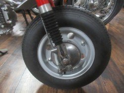 �z���_�����L�[�i�������o�_�s�j�摜10