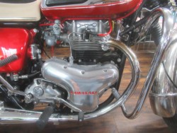 �J���T�LW1�i�������o�_�s�j�摜10