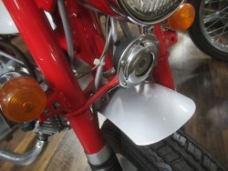 �z���_�����L�[�i�������o�_�s�j�摜11