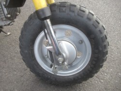 �z���_�S�����i�������o�_�s�j�摜12