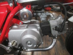 �z���_�����L�[�i�������o�_�s�j�摜13