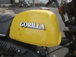 �z���_�S�����i�������o�_�s�j�摜13