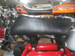 �z���_�����L�[�i�������o�_�s�j�摜14