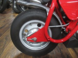 �z���_�����L�[�i�������o�_�s�j�摜17