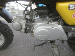 �z���_�S�����i�������o�_�s�j�摜16