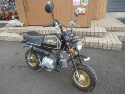 �z���_�S�����i�������o�_�s�j�摜1