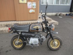 �z���_�S�����i�������o�_�s�j�摜2