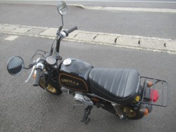 �z���_�S�����i�������o�_�s�j�摜4